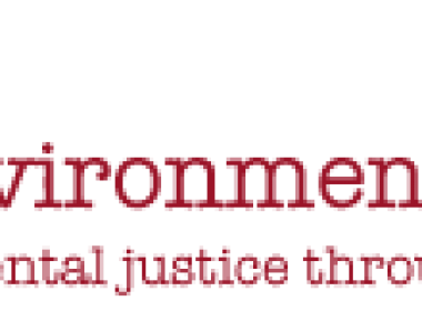 Womens Environmental Network Logo