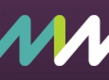 Women into the network Logo