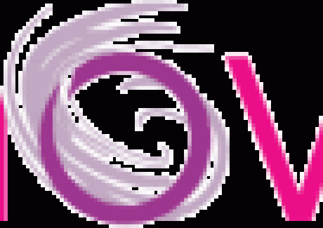 Network of Women Logo