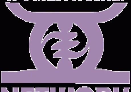 Women and Girls Network Logo