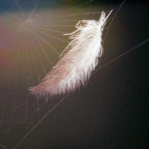 Leanne-spiderweb-feather