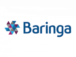 Baringa Partners LLP - technology opportunities