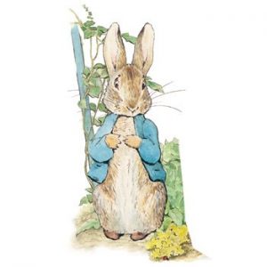 Peter Rabbit, Beatrix Potter