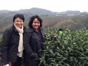 hua-and-sophia-in-the-tea-plantation-in-china