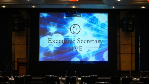 Executive Secretary